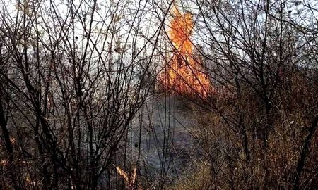 Los incendios forestales afectan diferentes áreas de las provincias de Jujuy, Mendoza, Salta y Córdoba Los incendios forestales afectan diferentes áreas de las provincias de Jujuy, Mendoza, Salta y Córdoba