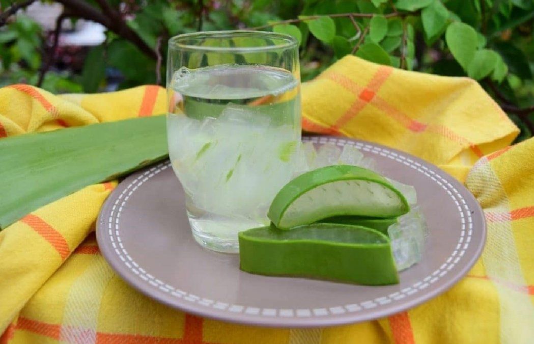 Jugo de aloe vera en ayunas, una gran opción para reforzar el sistema inmune