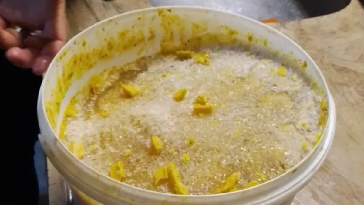 Viral: compró helado para Navidad y se llevó una asquerosa sorpresa