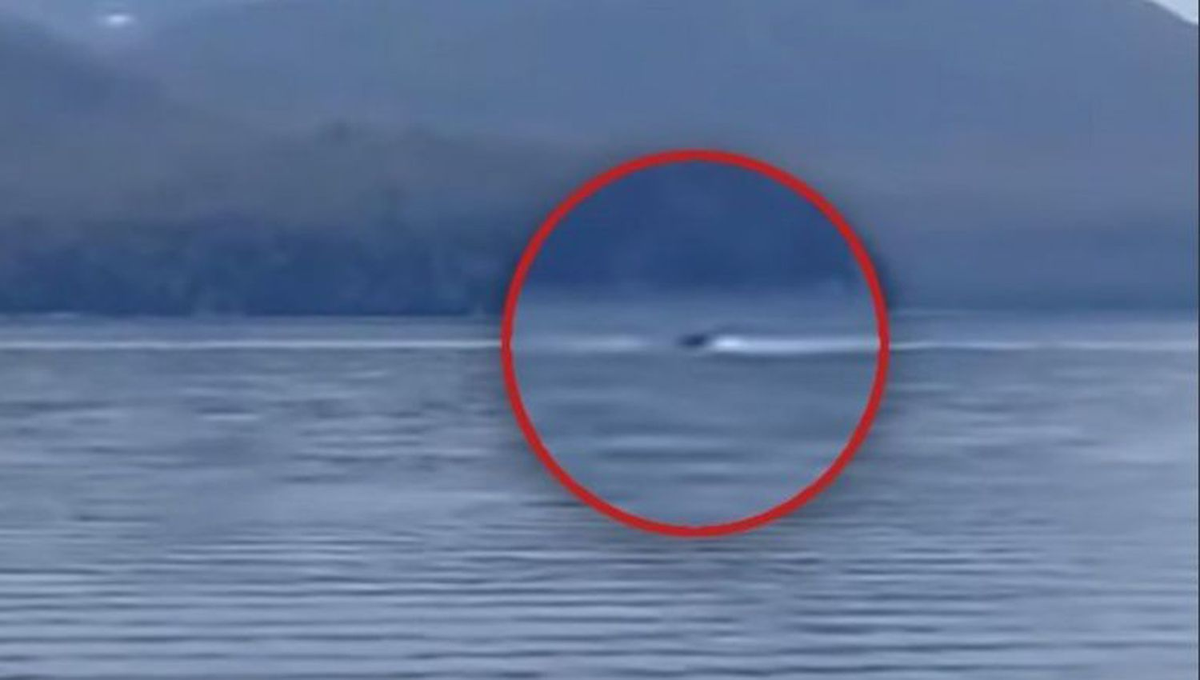 Video: vecinos afirman que reapareció Nahuelito