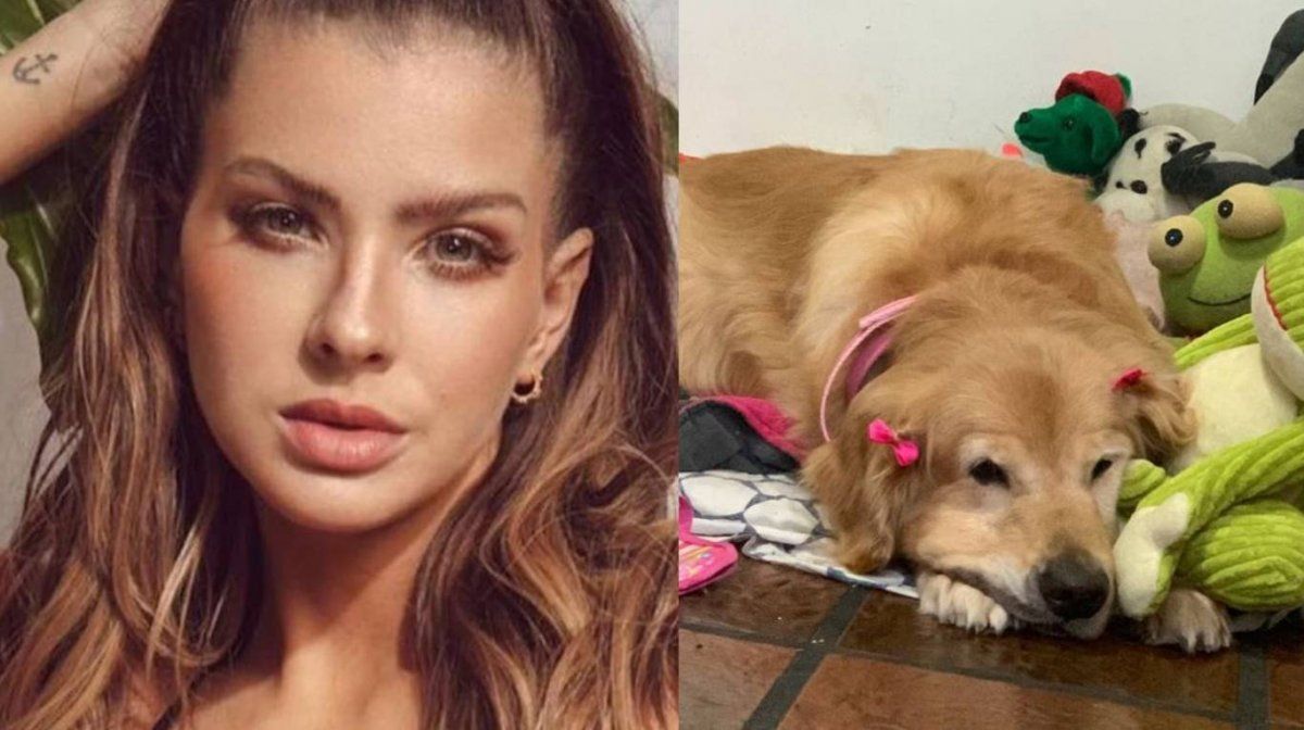 La China Suárez ama a los perros.