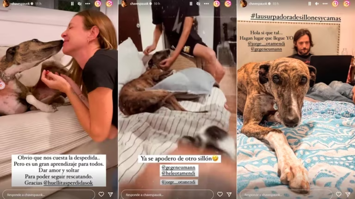 El anuncio de Paula Chaves sobre el futuro de Matilda.