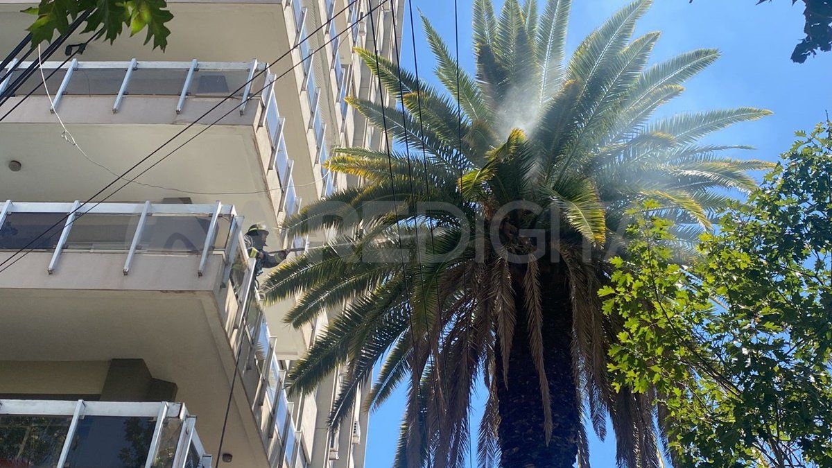 El hecho ocurrió este sábado alrededor de las 13 en inmediaciones de calle San Martín 3100.