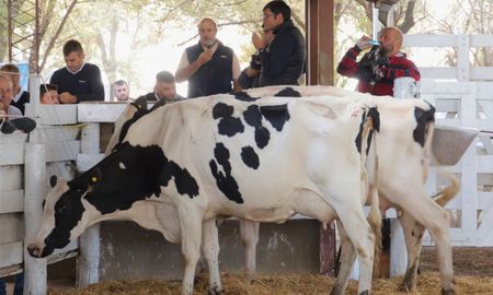 vidriera genetica de las colonias: confirmaron la nueva fecha, tras la postergacion por lluvias vidriera genetica de las colonias: confirmaron la nueva fecha, tras la postergacion por lluvias