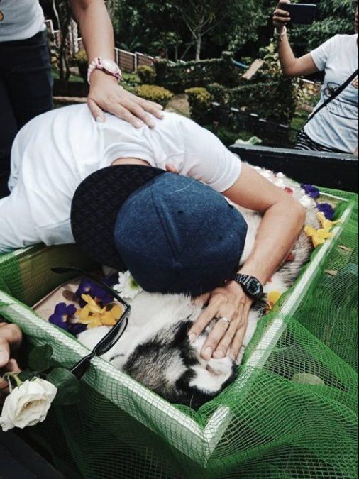 La desgarradora despedida de un chico a su perro