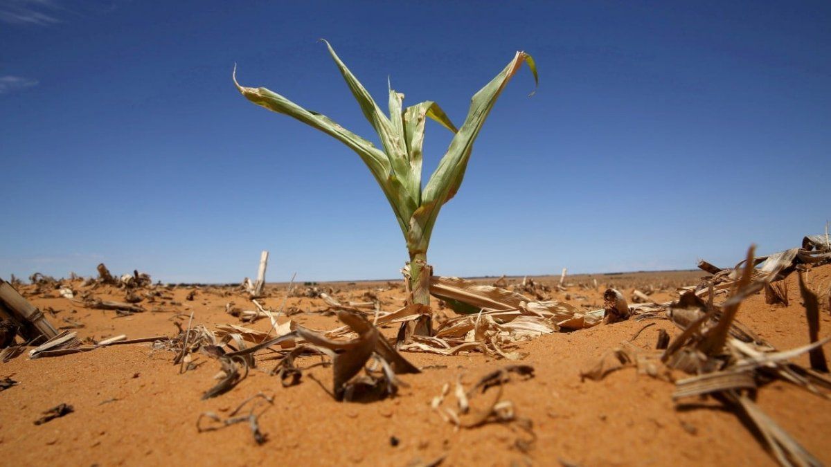 El mundo sigue un rumbo