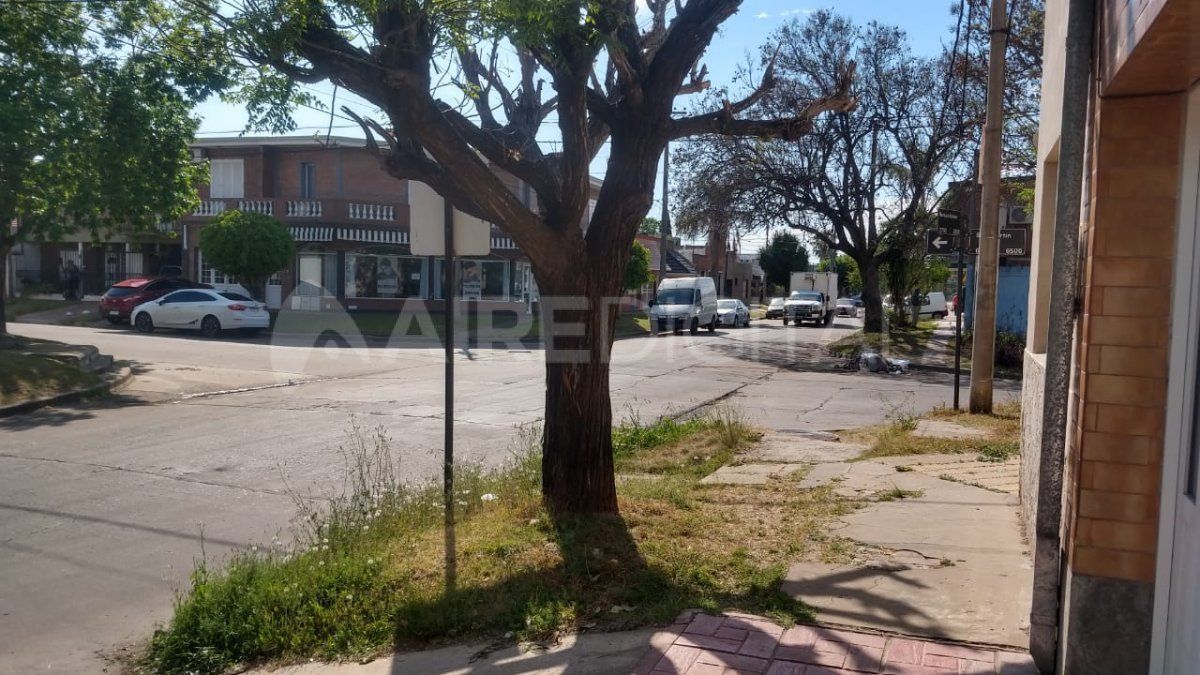 Los dueños del auto se despertaron cerca de las 4 y vieron que el auto no estaba. 