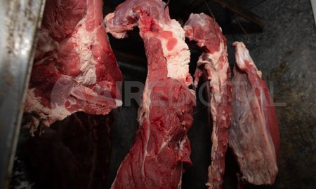 La exportación de carne vacuna se suspendió por al menos 30 días y hay polémica por la medida del gobierno nacional. La exportación de carne vacuna se suspendió por al menos 30 días y hay polémica por la medida del gobierno nacional.