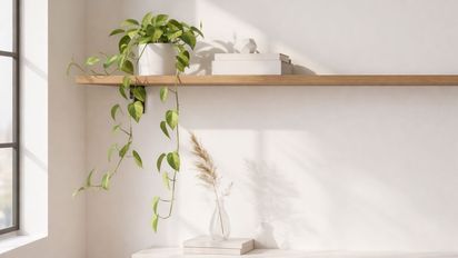 Los 3 lugares de tu casa donde nunca deberías poner un potus si querés atraer buena energía