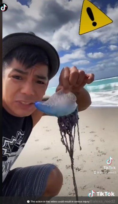 Alexa Reed suele estar con animales extraños comiéndolos o probando su sabor.