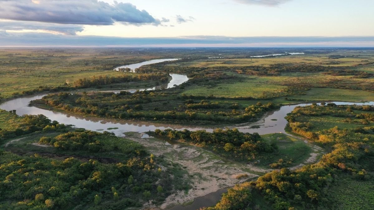 La Ley de Humedades es estratégica para preservar uno de los ecosistemas más importantes de la Argentina.
