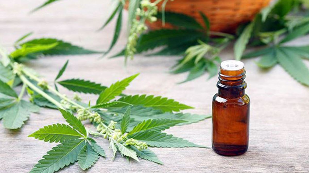 El aceite de cannabis posee&nbsp;principios activos que son útiles para mejorar la calidad de vida de personas que pedecen distintas enfermedades