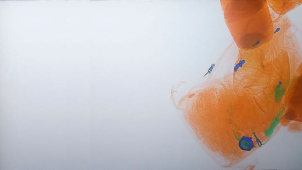 Los elementos más secuestrados a partir de la implementación de los scanners son los tecnológicos. Con esta imagen se detectó un