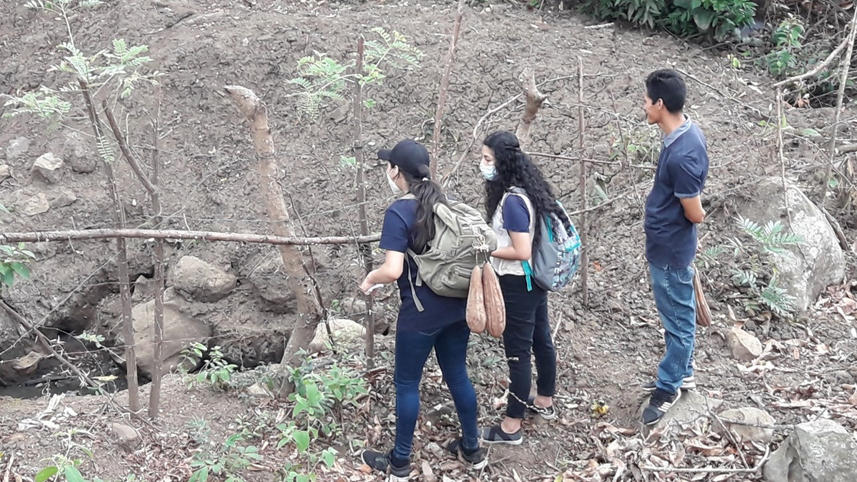 La carrera universitaria que paga más de $400.000 pesos al mes