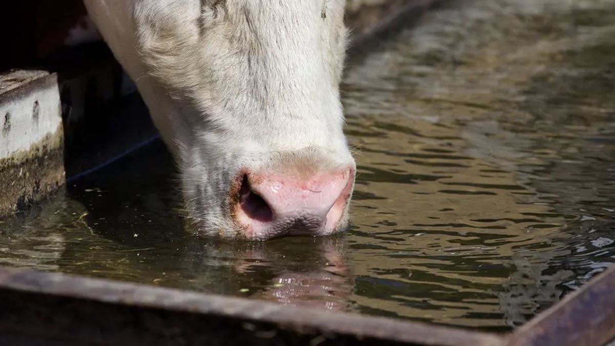 Una beba de 16 meses murió ahogada en el noroeste de Santa Fe.