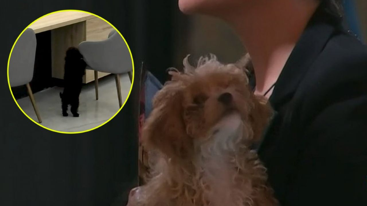 Gran Hermano: tras la salida de Caramelo