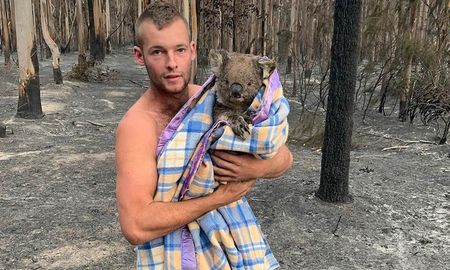 dejo las armas para salvar vidas: un cazador rescato a nueve koalas de los incendios en australia dejo las armas para salvar vidas: un cazador rescato a nueve koalas de los incendios en australia