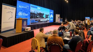 Con buenos valores para la invernada, comenzó la agenda de remates de la Expo Angus Con buenos valores para la invernada, comenzó la agenda de remates de la Expo Angus