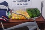 Ocurrió en Arroyo Leyes. El hombre sufrió lesiones al caer de un árbol mientras intentaba llevarse frutas de una propiedad vecina. Ocurrió en Arroyo Leyes. El hombre sufrió lesiones al caer de un árbol mientras intentaba llevarse frutas de una propiedad vecina.