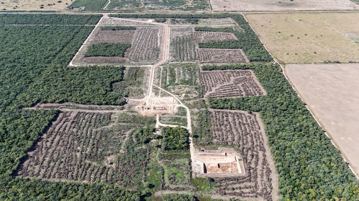 Clausura de un predio tras la denuncia por desmonte ilegal en Santa Fe.