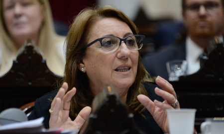 Mónica Fein, socialista santafesina de Encuentro Federal. Mónica Fein, socialista santafesina de Encuentro Federal.