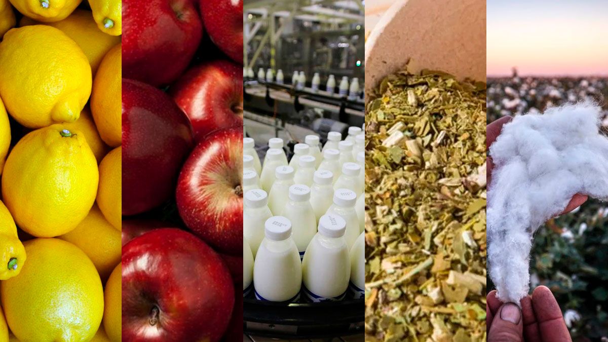 Mejora el semáforode las economías regionales: dominan las amarillas