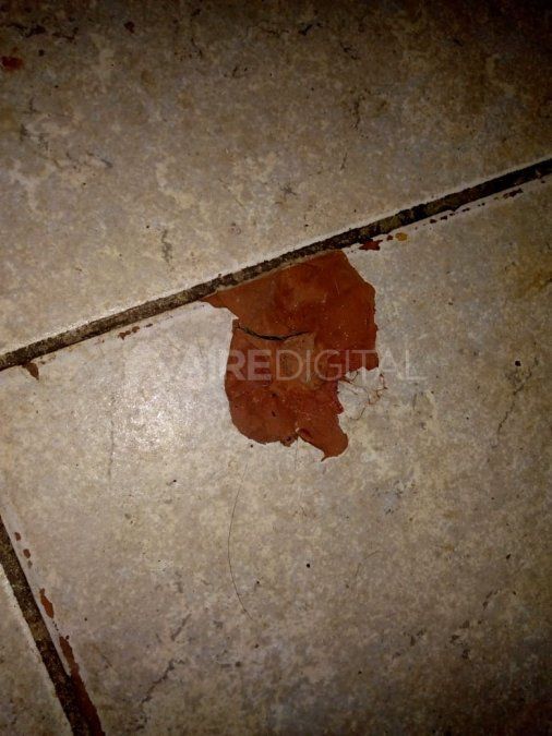 Entre cinco y seis disparos de arma de fuego se escucharon dentro del delivery de hamburguesas