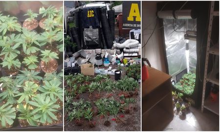 El procedimiento fue realizado en calle Gorostiaga al 1500 por la Agencia de Investigación Criminal (AIC). El procedimiento fue realizado en calle Gorostiaga al 1500 por la Agencia de Investigación Criminal (AIC).