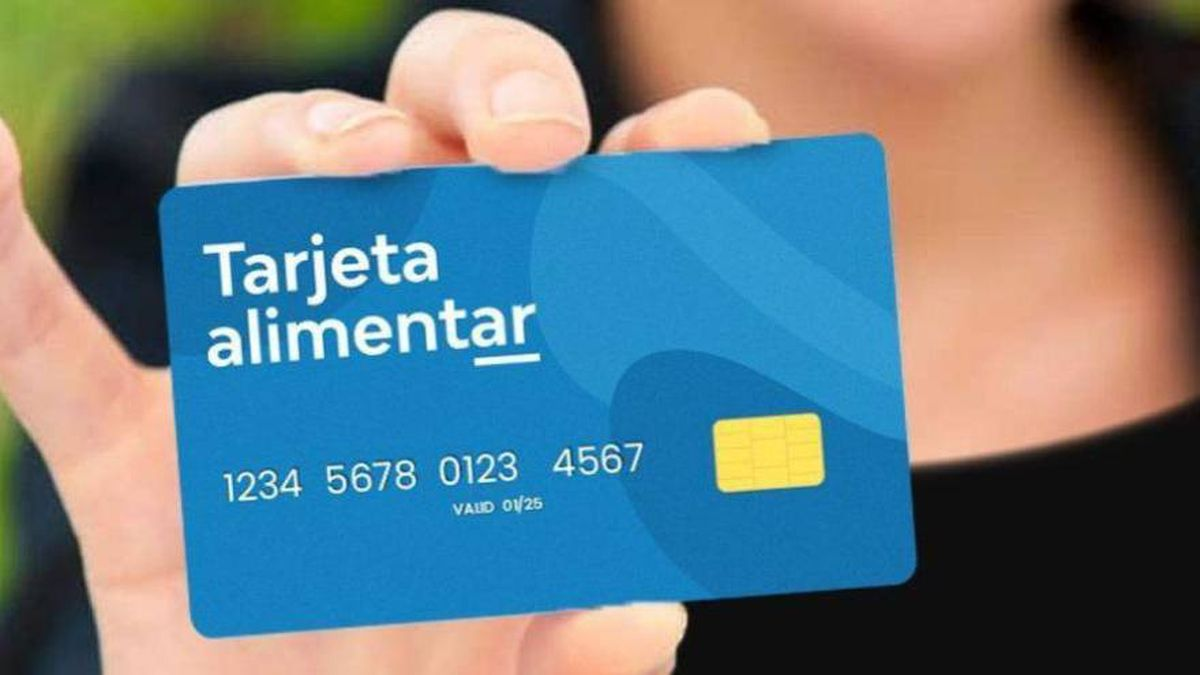 La BUENA NOTICIA para beneficiarios de Tarjeta Alimentar: ANSES confirmó los aumentos para enero