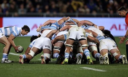El entrenador australiano Michael Cheika armó un plantel con caras conocidas y sorpresas pensando en la cita máxima que será en Francia. El entrenador australiano Michael Cheika armó un plantel con caras conocidas y sorpresas pensando en la cita máxima que será en Francia.