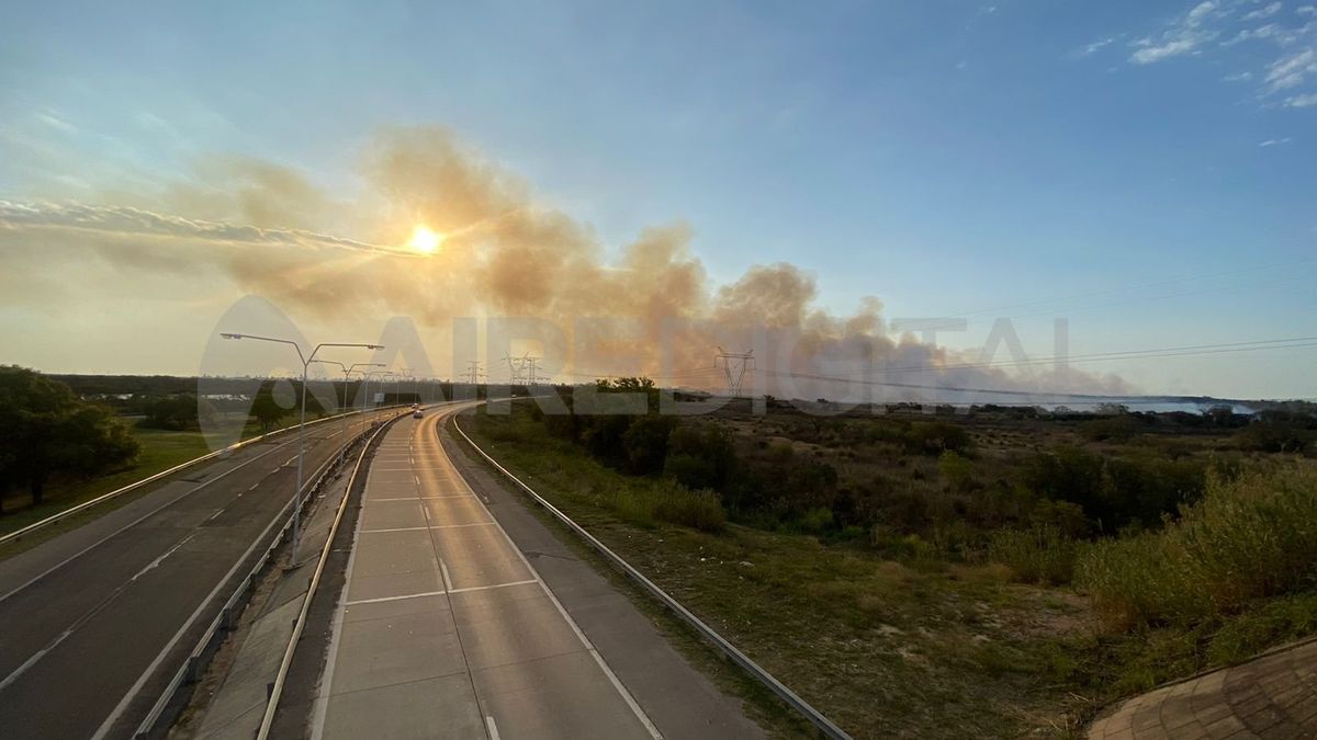 El especialista recomendó dejar de hablar de quemas de pastizales para instalar el concepto de incendios de ecosistemas.