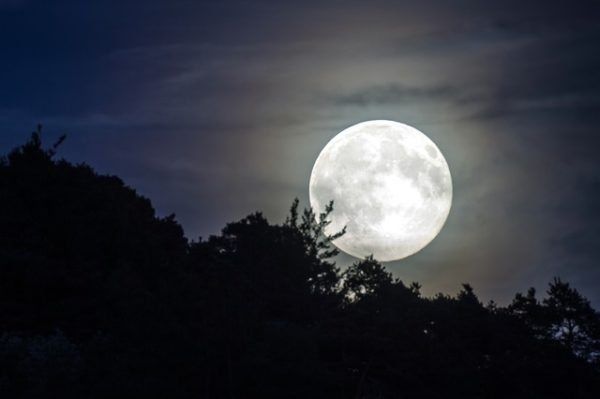 La Luna en Escorpio llenará de tentaciones y lujurias esta semana a los signos