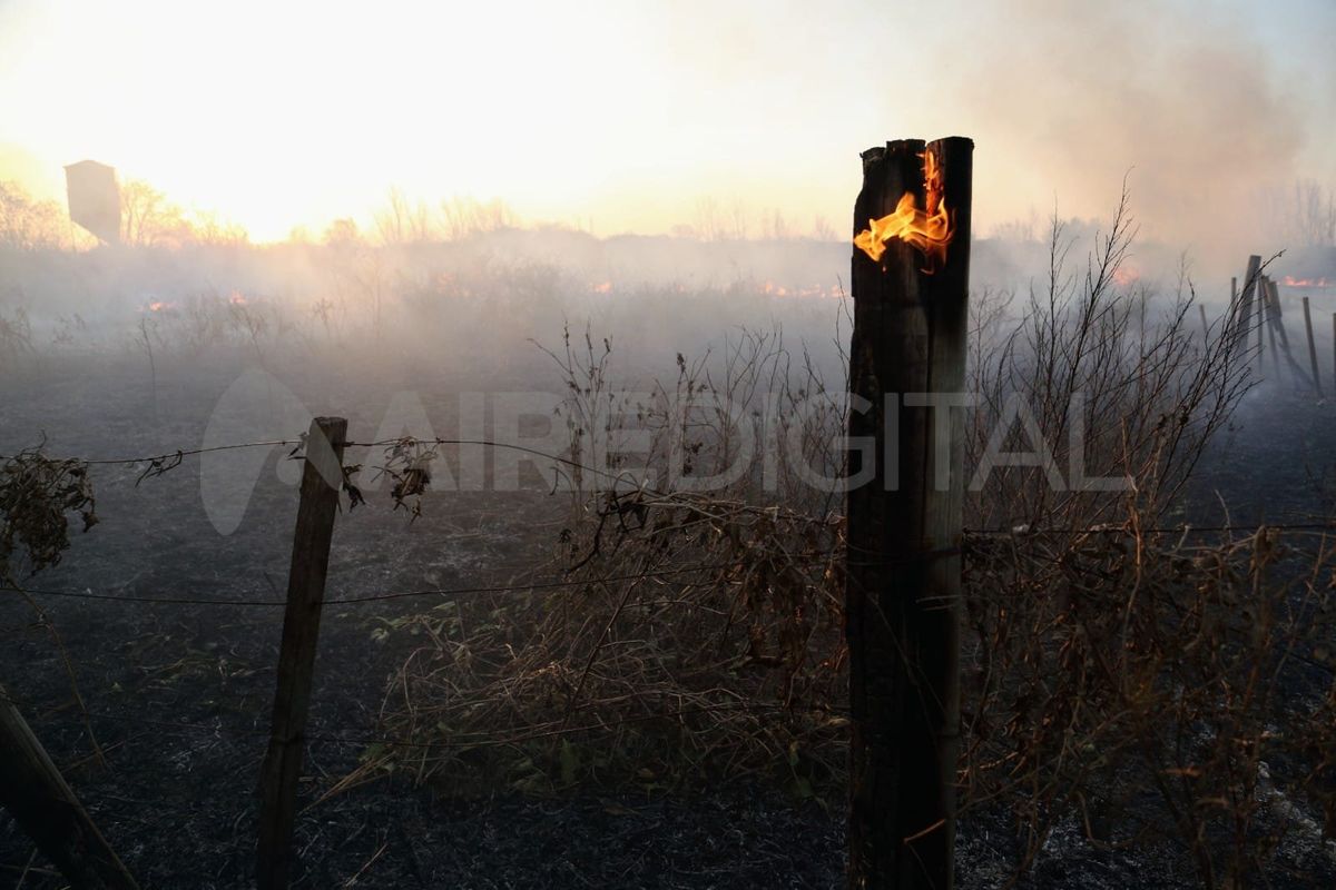 Se estima que un 95% de los incendios forestales son producidos por la mano del hombre.