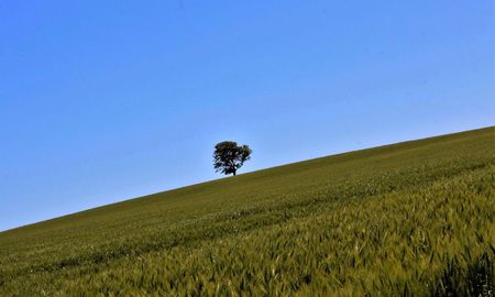 Aire de Santa Fe | EntreRíosAgro