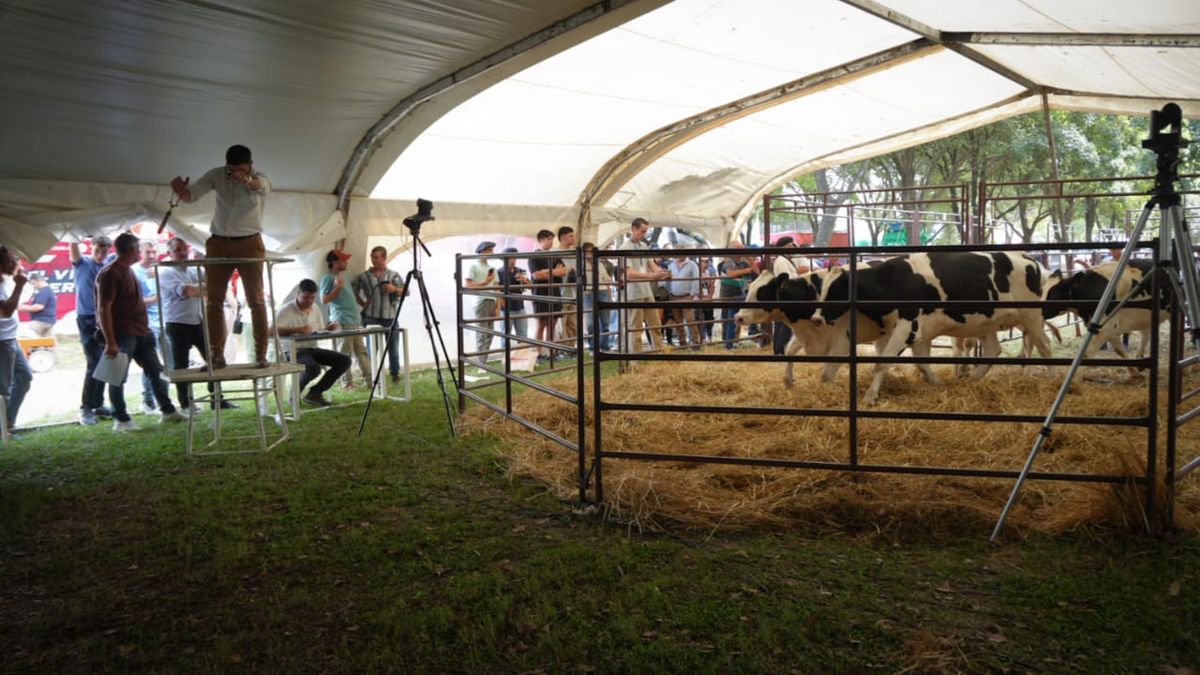 La Guillermo Lehmann realizó un remate en la TodoLáctea.