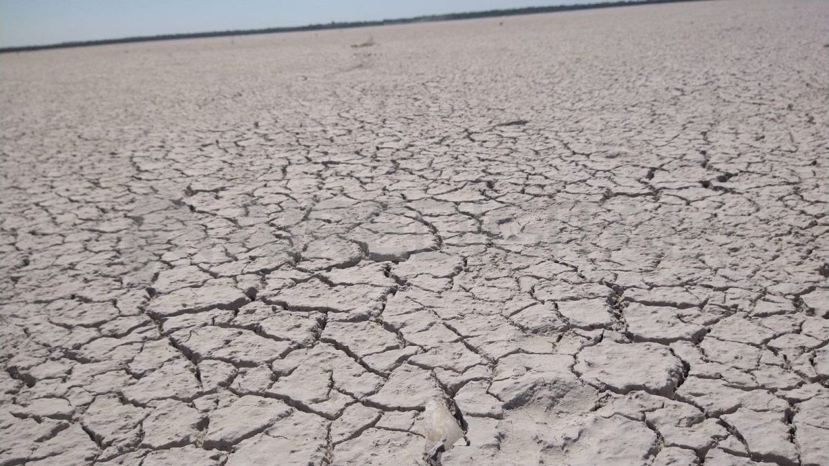 Todo el terreno de la laguna quedó árido, con el piso resquebrajado por los efectos del sol.