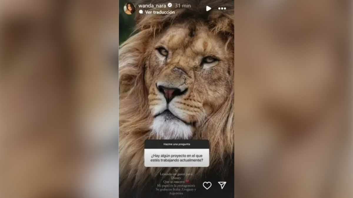 Wanda Nara aseguró que está en tentativas con una producción de Disney. Wanda Nara aseguró que está en tentativas con una producción de Disney.