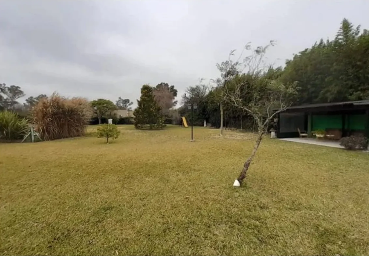 El jardín de la casa de Lizy Tagliani.