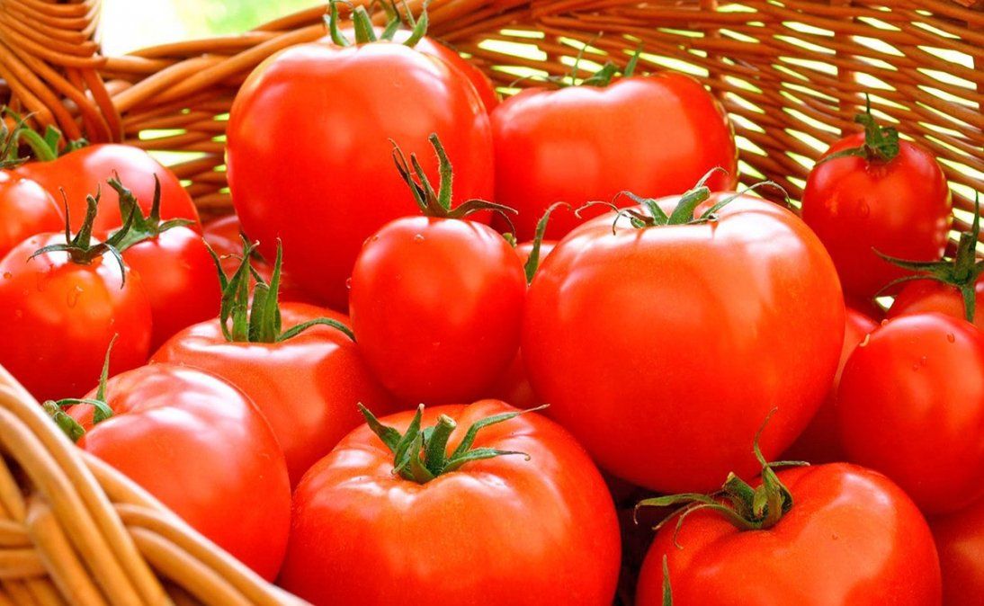 Elaborá una receta fácil y rica