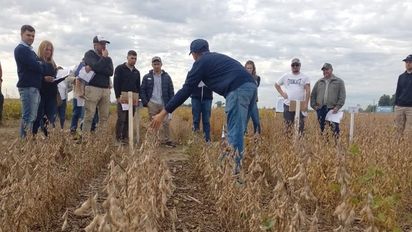 Recorrida a campo en INTA Rafaela: estrategias clave para el manejo de la soja
