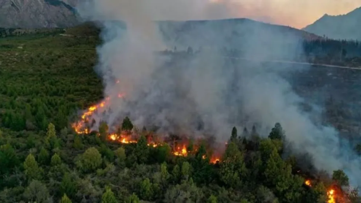 El incendio se desató el sábado. Gracias a las lluvias y la labor de los brigadistas pudo ser combatido.