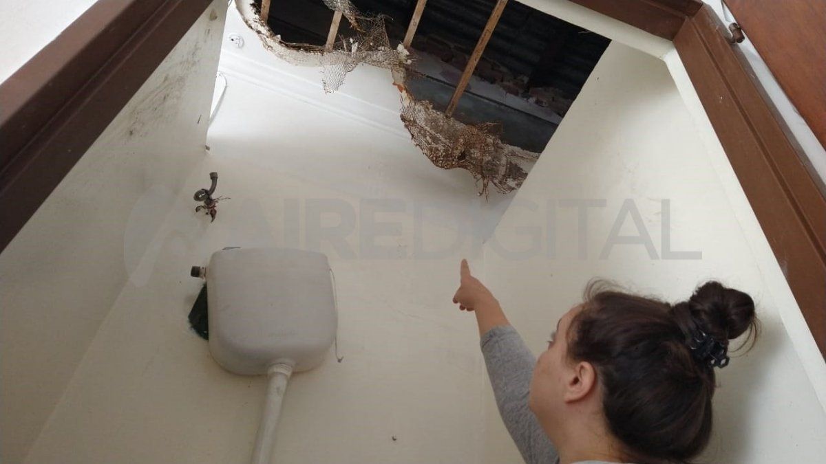 Los delincuentes pusieron la ropa en una bolsa y se fueron.&nbsp;