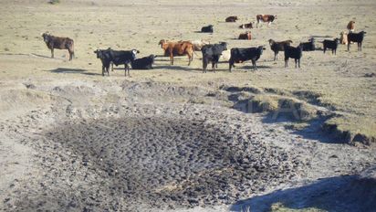 Santa Fe amplía la emergencia agropecuaria por sequía: qué zonas se suman y cuáles son los beneficios