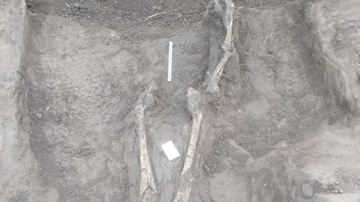 “Hay más de 10 generaciones enterradas en este sector", detalló la Dra. María Rosario Feuillet. 