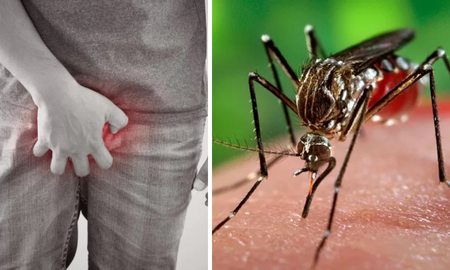 Un joven de 17 años tuvo una erección de 18 horas por dengue. Un joven de 17 años tuvo una erección de 18 horas por dengue.