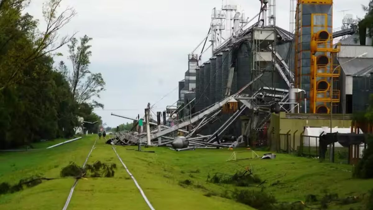 Los daños estructurales en la cooperativa local inhabilitaron la planta de acopio justo antes del inicio de la campaña de soja de este año.