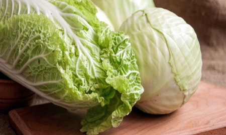 cuales son las diferencias entre repollo y lechuga cuales son las diferencias entre repollo y lechuga