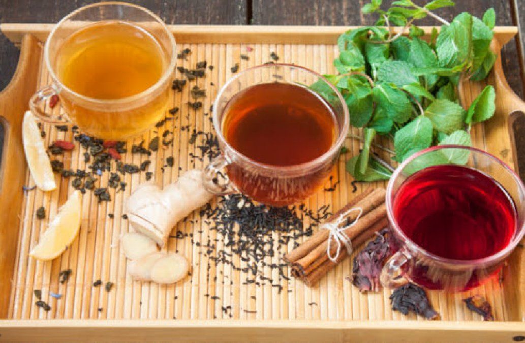 Cuáles son las diferencias entre el té verde