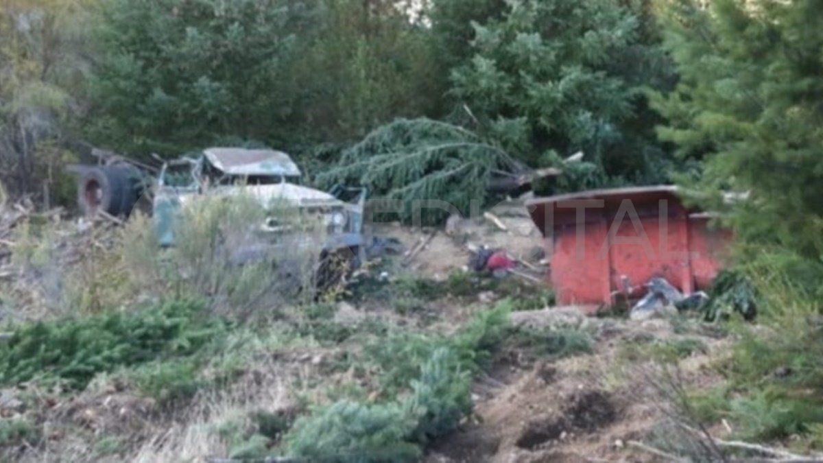 Producto del impacto, el camión perdió el control y cayó por un acantilado. 