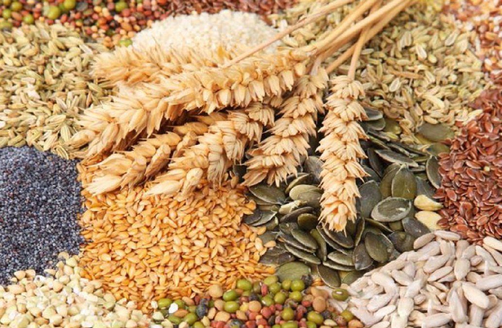 3 cereales que pueden consumir las personas con hipertensión&nbsp;